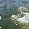 Filename=022.jpg
Filesize=287KiB
Dimensions=1920x1080
Date added=Aug 14, 2025 022.jpg
