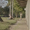 070.jpg