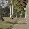 071.jpg