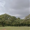 Filename=113.jpg
Filesize=176KiB
Dimensions=1920x1080
Date added=Aug 04, 2025 113.jpg